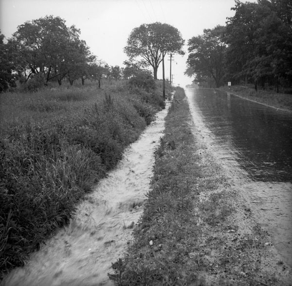 Rainwater running through a ditch along the side of a paved road. This picture was likely taken as a study of the drainage problems in  Greendale.