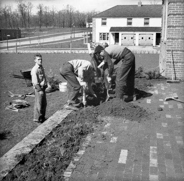 Four men planting shrubbery along the edge of a brick patio area  outside of the Administration Building.  A duplex house is visible in the background.