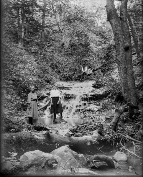Two girls stand in the foreground, and a man and woman sit on a log over the stream in the background at the Parfrey's Glen waterfall near Devil's Lake.