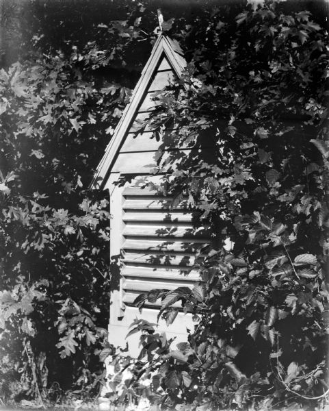 Small wooden structure with what looks to be ventilation grating, obscured by foliage.
