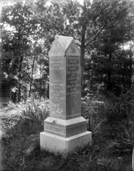 The Staudenmayer grave marker set amid the lush vegetation of Durwards Glen.