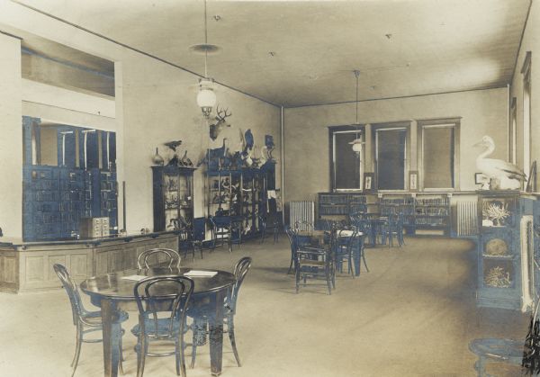 Interior view of the Janesville Public Library. There are several display cases filled with taxidermy, including a pelican, and coral. There is a deer head mounted on the wall. Distributed throughout the room are reading tables, and bentwood chairs. Bookshelves are along the walls. There is a small six-drawer card catalog, a librarian's desk, and doorway to another room that contains bookshelves.<p>Additional notes from Wisconsin Free Library Commission. "Some Wisconsin Library Buildings, 1904." Children's room, showing natural history collection given by H. L. Skavlem.<p>For more about Halvor Lars Skavlem (1846-1939), please see the Dictionary of Wisconsin History.