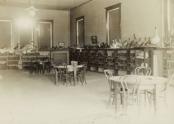 Interior view of the Janesville Public Library. The library opened in 1903 and was funded by Andrew Carnegie at $30,000 and Eldred at $10,000. The reverse of the cardboard backing reads: "III Water birds, Duck, Geese." There are many stuffed birds displayed on the bookshelves lining the walls of the room. There are round reading tables with bentwood chairs in the foreground.