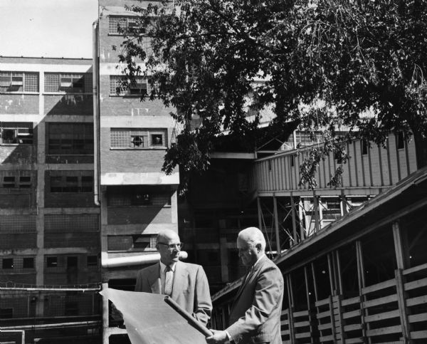 Oscar G. Mayer, Jr., (left) and another Oscar Mayer & Co. official examine plans for a hog immobilization unit to be constructed at the rear of the company's Madison plant. The unit was designed to put hogs to sleep painlessly.