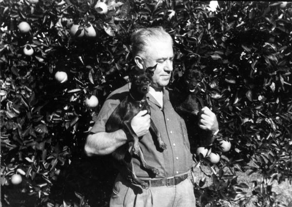 Frank O. King holds two Miniature Doberman Pinschers near fruit trees on the grounds of Folly Farm.