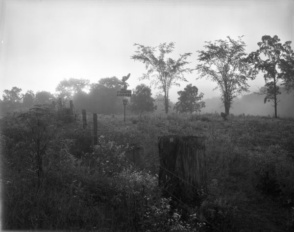 A pasture along Highway 60 on a foggy morning. In the middle of the pasture near a fence is a sign for "WIS 60" underneath a caricatured Native American figure accompanied with text that reads "Kickapoo Caverns."