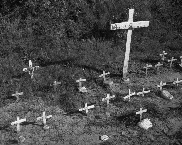 A cemetery for pets near Highway 58. Each burial plot is marked with a small wooden cross. Additionally, several plots have accompanying makeshift tombstones which denote the animal's cause of death: "Butch" died of natural causes, "Scotty" was killed by a "reckless driver," "Brownie" was hit by a "dirty Ford," and "Fabian" tragically lost his life to a "mowing machine."