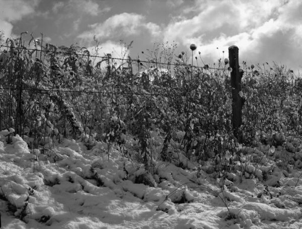 A roadside edge of a field near a fence covered in snow.