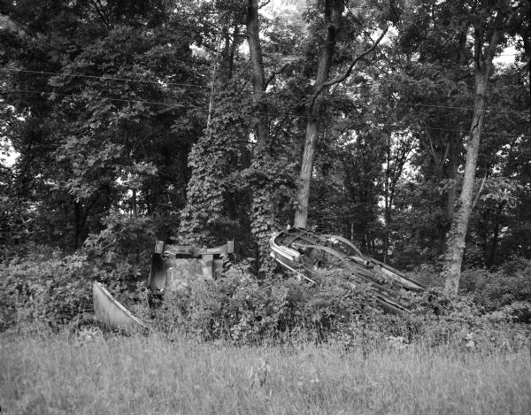 Several wrecked automobiles lay on the edge of a wooded area. Shrubs grow around, and in, the automobile remains.
