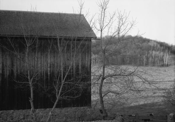 View of part of a weathered barn and a greater pasture valley. Cows are behind a fence on the lower right.