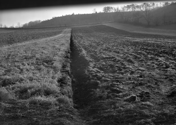 A furrow of a newly plowed field, with a small tree-lined ridge visible in the background.