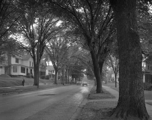View of a tree-lined residential street. The street is lined with large homes with generously-sized yards.