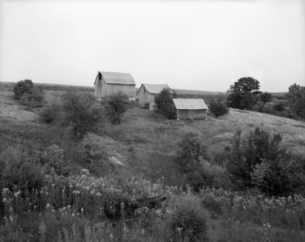 View of three farm buildings on a hillside.