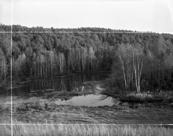 View down hill towards backwater area of the Wolf River, near it's source, surrounded by thick woods. Crop marks indicated by photographer.