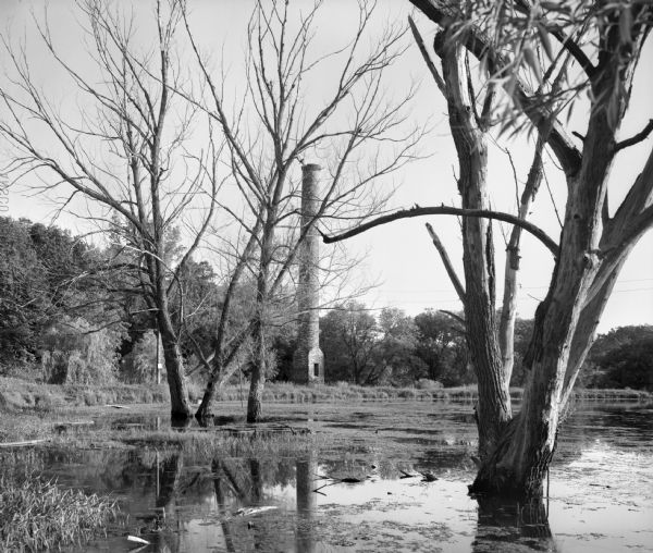 An old chimney near the town fishing pond. In the foreground, trees grow in the pond.