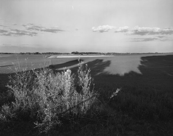 View towards horizon of long shadows stretching across a large field. Small plants grows in the foreground.