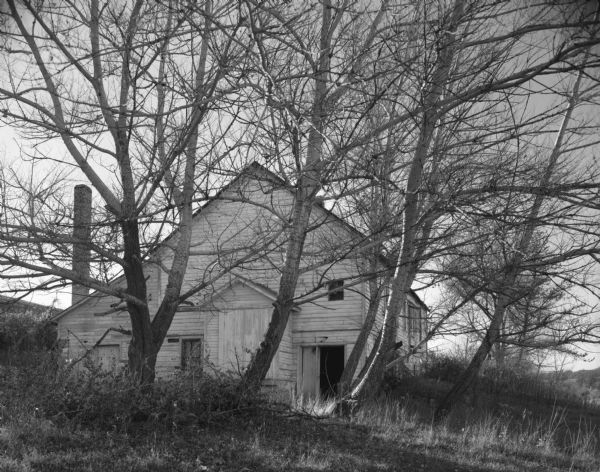 Several trees surround an abandoned farmhouse on a hill.