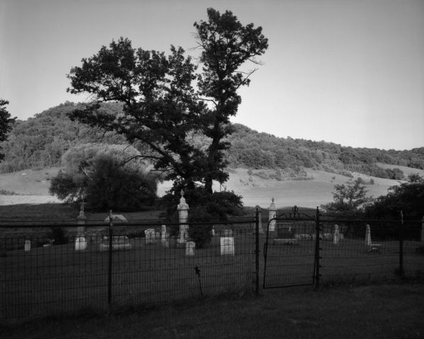 View of a small cemetery in the countryside with a tree in the center. The cemetery is enclosed by a thin metal fence with gate. There is a hill in the background.
