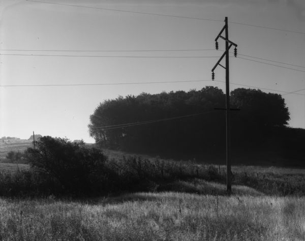 A power line is juxtaposed against a group of trees growing on a small ridge in the distance.