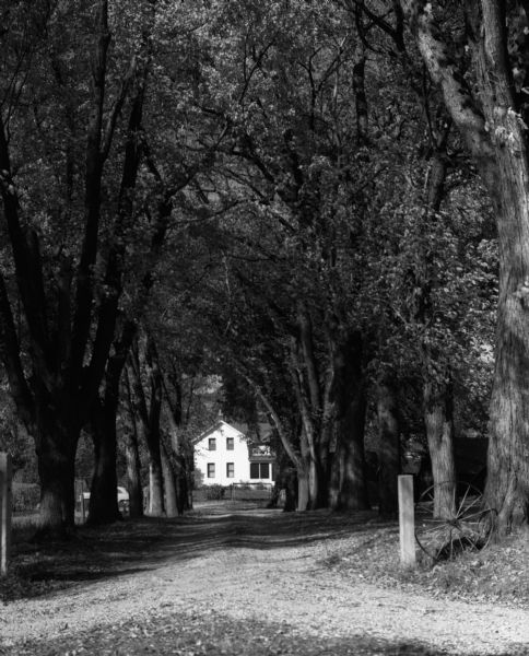View down the long tree-lined driveway of the Wendt farmhouse. A decorative fence post with a wheel is at the entrance to the driveway.