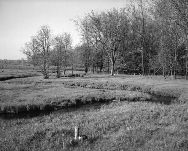 A steam winds through a meadow. In the background are trees and a fence.