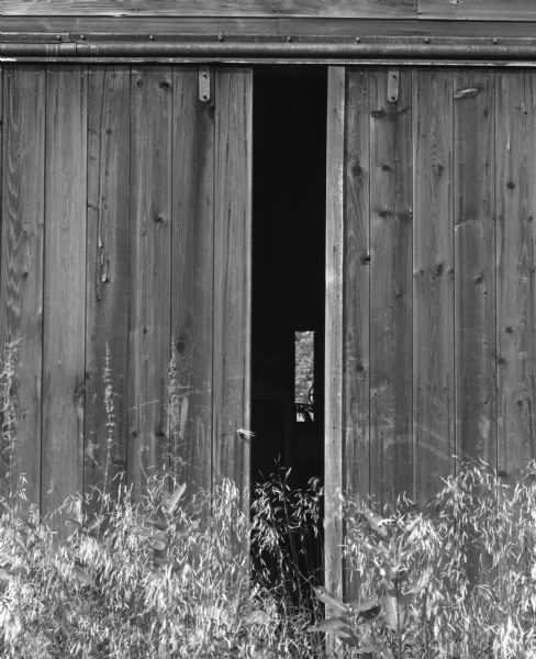 A wooden barn door is partly opened, inside a seat of a tractor is visible. Various weeds and tall grasses grow in front of the barn door.