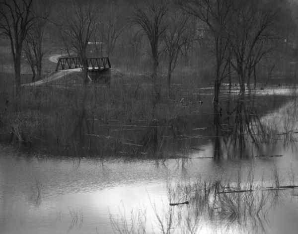 A flooded woods near the Wisconsin River. A small bridge and a submerged road are in the background.