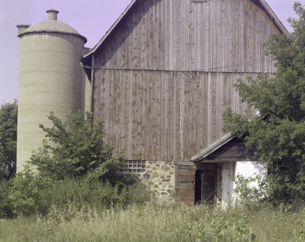 Rear view of a barn with stone foundation and a cement silo. In the foreground are overgrown shrubs and grass.