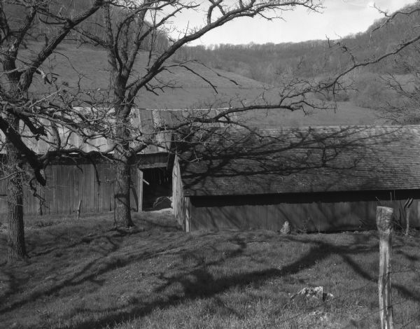 Two large trees grow near two barns. Moss grows on the roof of the barn in the foreground. A large, open valley is in the background.