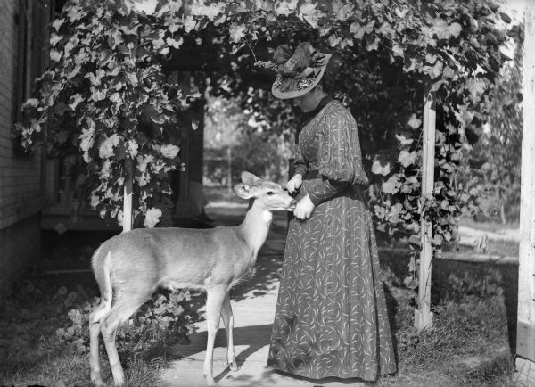 Woman in print dress and hat stands with a fawn under an arbor with hanging vines near a house.