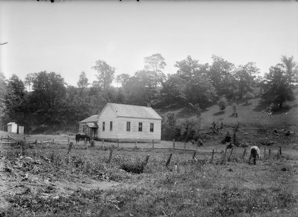 View from field of two horses grazing near a fence in the area outside the clapboard school building. There is a small outhouse on the far left. A hill with trees rises in the background.