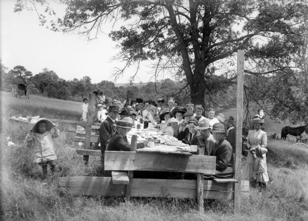Children and adults seated at a large make-shift picnic table in a field near a tree. In the background on the left is a carriage, and on the right a horse grazes.