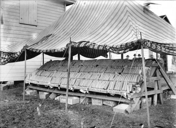 Ears of corn on display under a striped tent. Three men are behind the tent near a building.