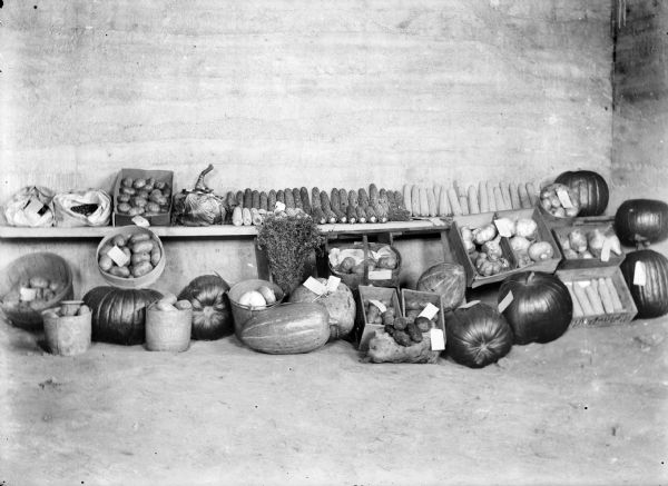 Tagged vegetables, including pumpkins, potatoes, corn, and etc., displayed on a shelf and floor in a room.