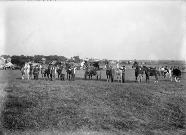 Men standing in a field holding horses by their bridles. One man is in a horse-drawn carriage. In the background on the far side of the field is a crowd near a tent.