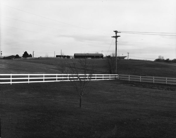 Wisconsin farmland featuring a small tree in the foreground, a telephone pole and fence in the middle distance, and farm buildings in the background.