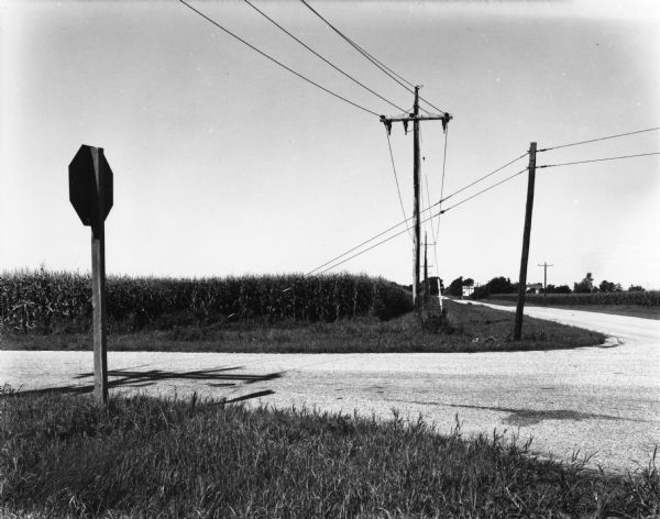 View from side of road of intersection with telephone or power poles. In the left foreground is a stop sign, and across the road is a field of corn. In the distance is a farmhouse.