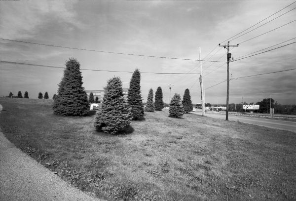 Telephone lines and trees are in the foreground of this photograph. Tucked behind them is the St. Joseph Church, which was located at 1905 West Beltline Highway.