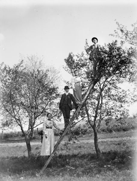 Two women and two men pose on a ladder propped in a fruit tree.