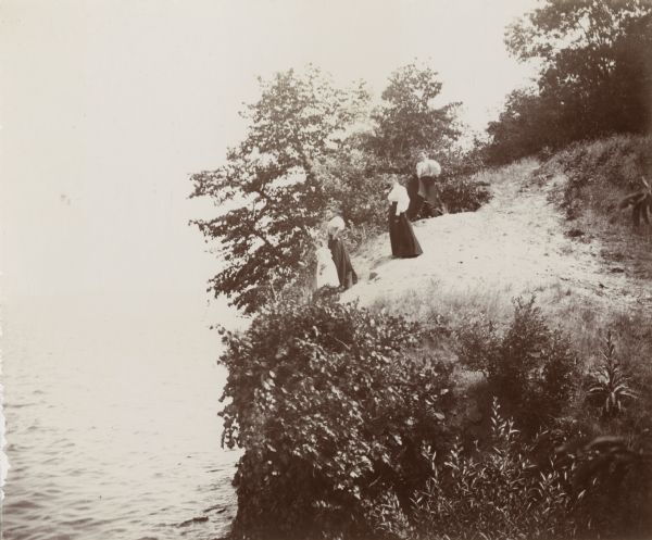 Elevated view of three women and a young girl standing at the edge of a small cliff on the shores of Lake Mendota. Various shrubs and small trees grow on the cliff.