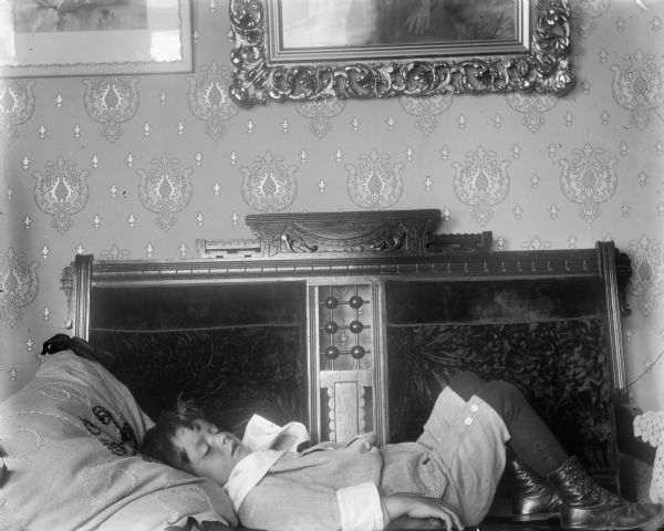 Syl sleeping on a high-backed, upholstered, carved wood settee. Framed pictures are on the wall above him.