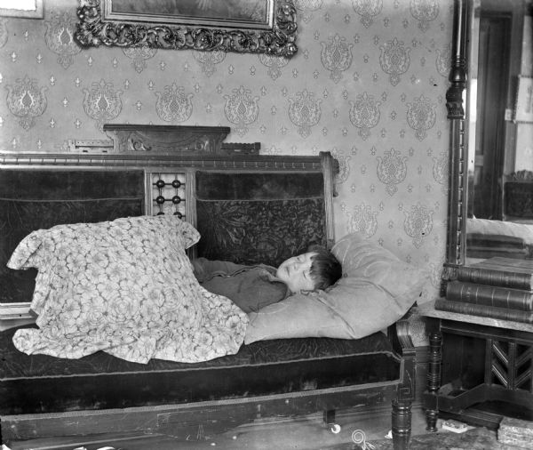 Syl sleeping on a high-backed, upholstered, carved wood settee. Framed pictures are on the wall above him. Nearby is a mirror and leather bound books.