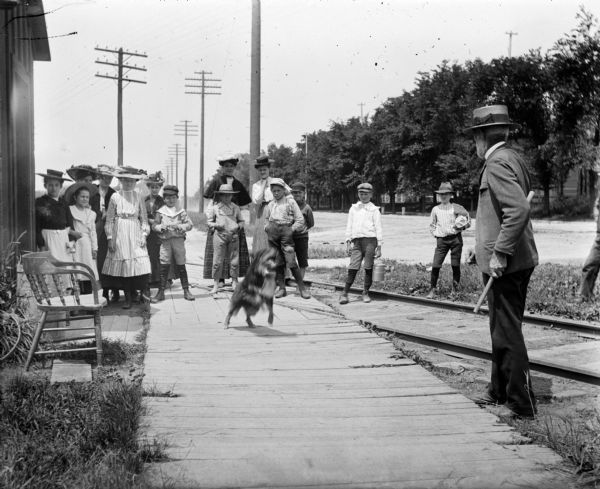 Syl, with a large group of children and adults, watches a trained dog perform. A man wearing a hat in the right foreground appears to be the trainer. Railroad tracks and power lines are visible in the background.