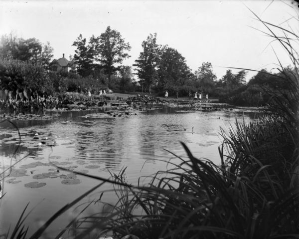 A large lily pond at Humboldt Park. Children are playing in the background and the roof of a building is in the distance.