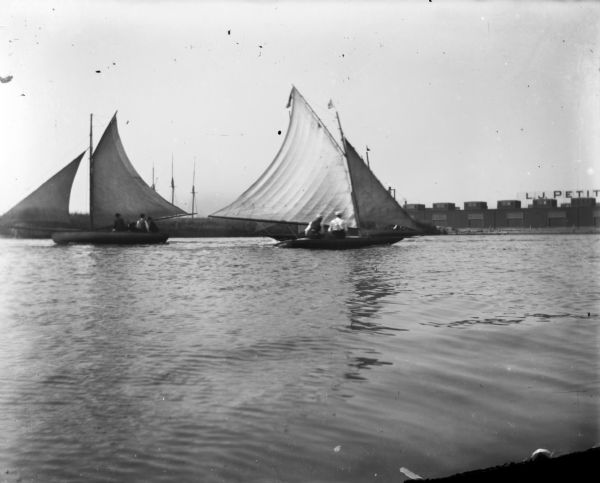 Small sailboats in Milwaukee Harbor with buildings on the far shoreline in the background. There is a large sign on a roof that readsin part: "L.J. Petit..."