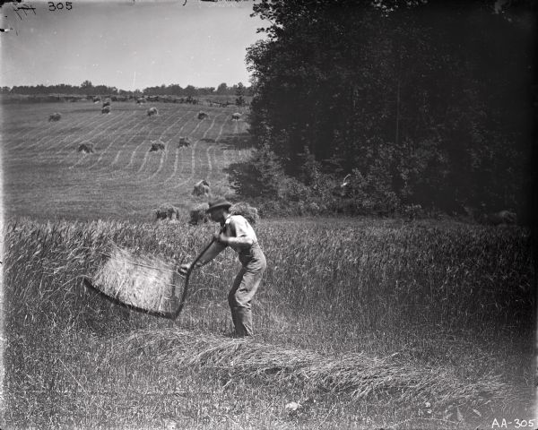 Man harvesting grain with hand cradle in a field. There are many haystacks in the field in the background.
