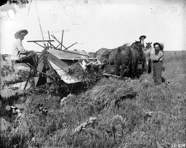 Three people posing with a horse-drawn grain binder in a field. A young man on the left is sitting on the binder, and on the right a boy is on one of the horses pulling the binder. In front of the boy an older man with a beard is standing with his arms folded.