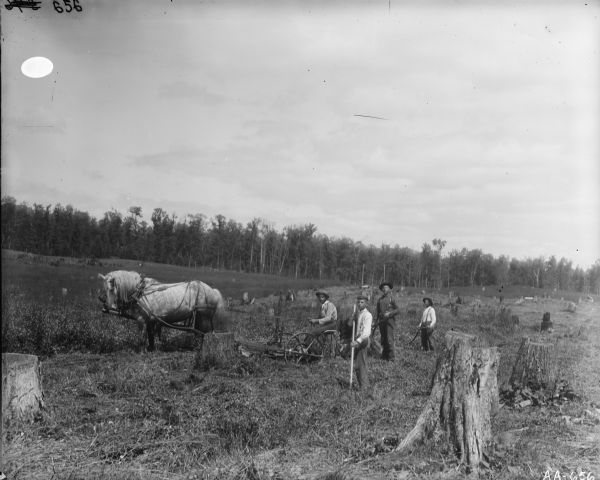 Group of young men working in cutover land. One of the men is driving a horse-drawn mower. Many stumps are in the open field, and trees are in the background.