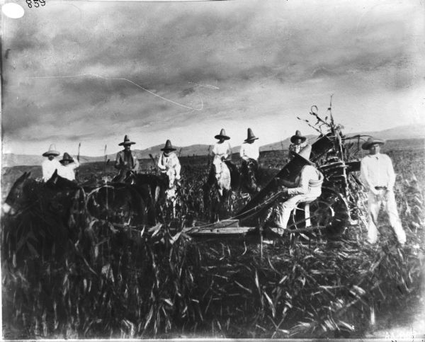 Men in a field with low hills in the background. Several men are on horseback. One man is riding a horse-drawn corn binder. All the men are wearing sombreros.