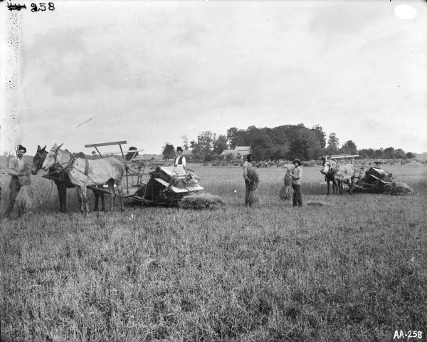 Group of men harvesting grain with two McCormick grain binders drawn by horses or mules. In the background are farm buildings and stacks of grain.